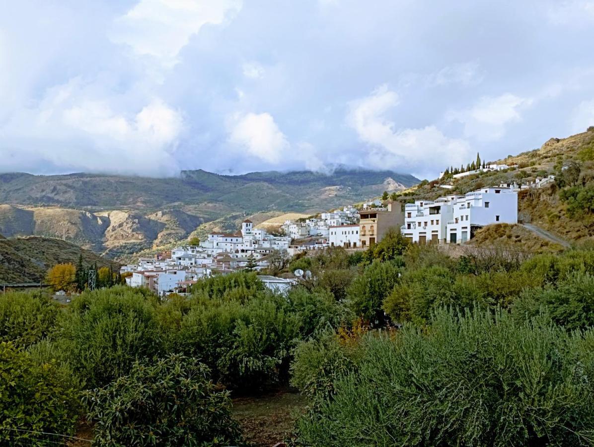 Ferienwohnung El Almendro De Maruja Torviscón Exterior foto